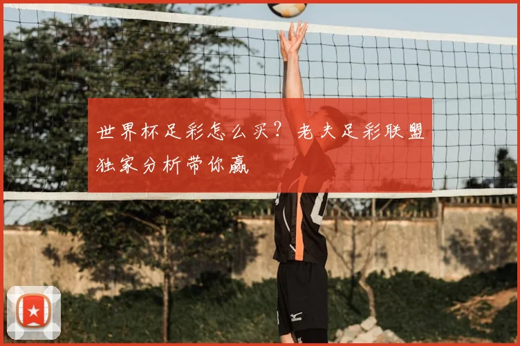 世界杯足彩怎么买?老夫足彩联盟独家分析带你赢