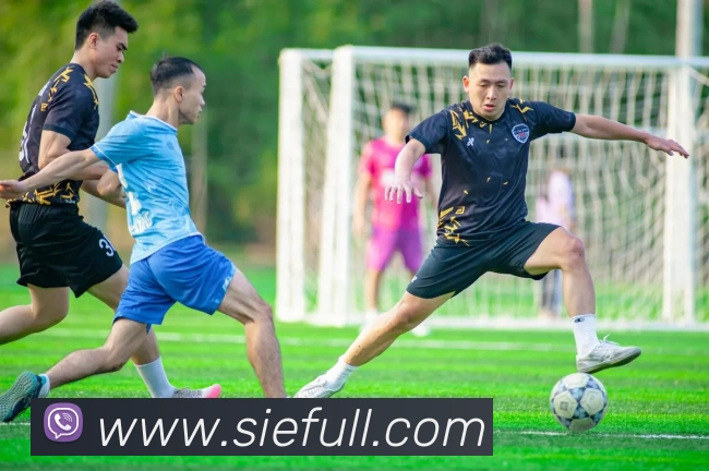 电子娱乐pg平台免费入口下载APP 体育赛事宣传图